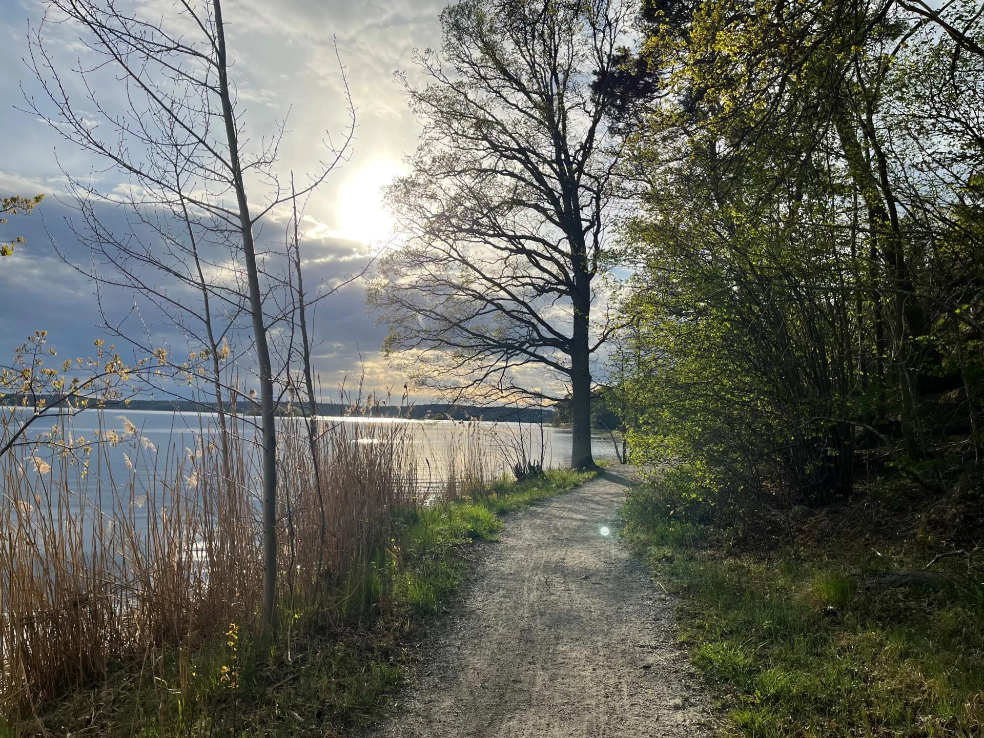 Otrolig takhöjd, praktiskt sovloft och rakt söderläge på uteplatsen!