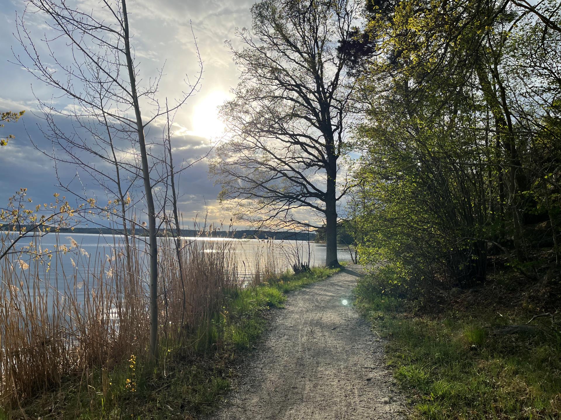 Väldisponerad lägenhet med stor uteplats!